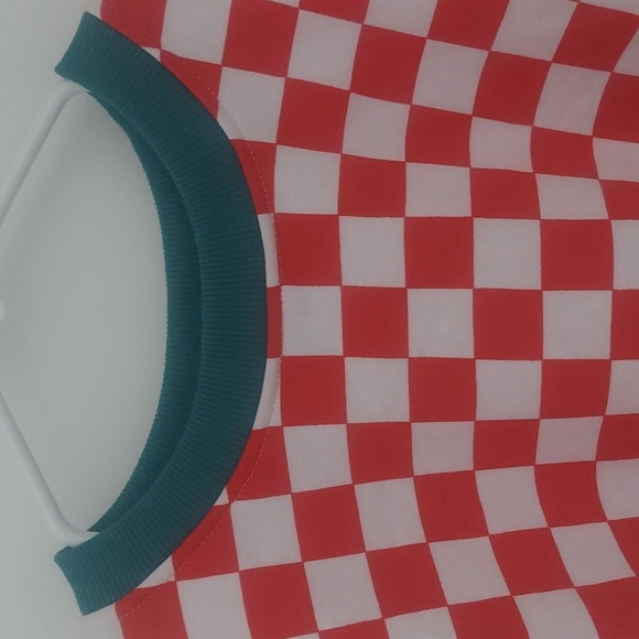 FOREVER 21 Longsleeve Checkered Crop Top - Picture 3 of 7